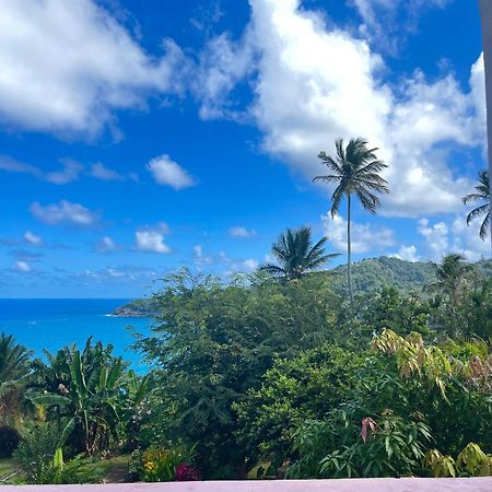 Happy Nest Dominica Hotel Marigot Bagian luar foto