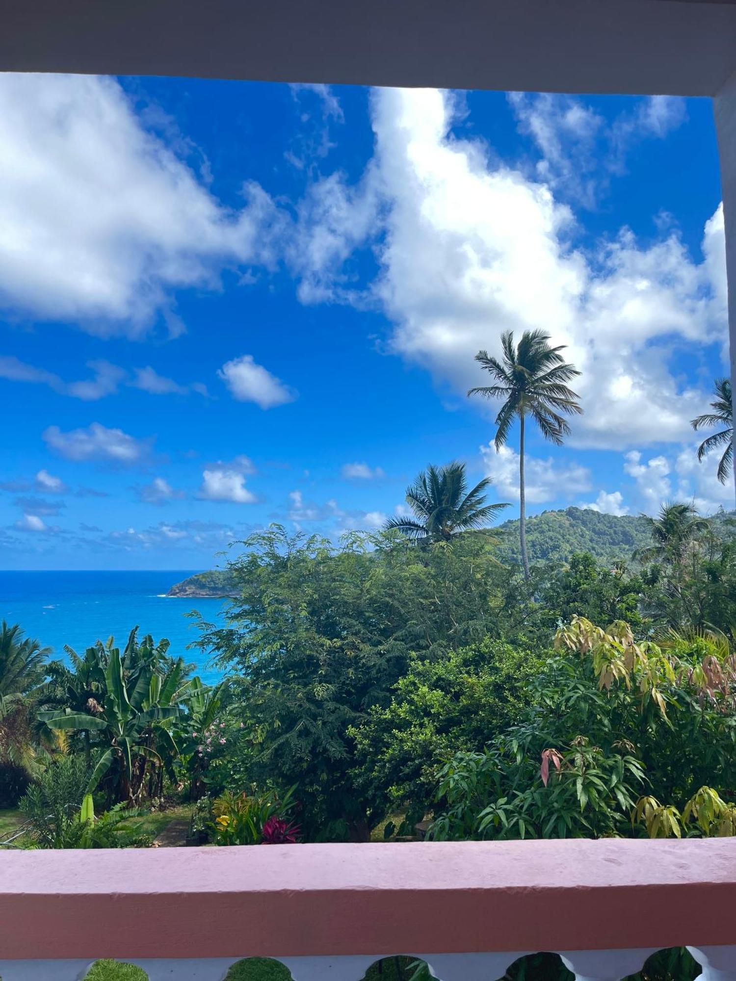 Happy Nest Dominica Hotel Marigot Bagian luar foto