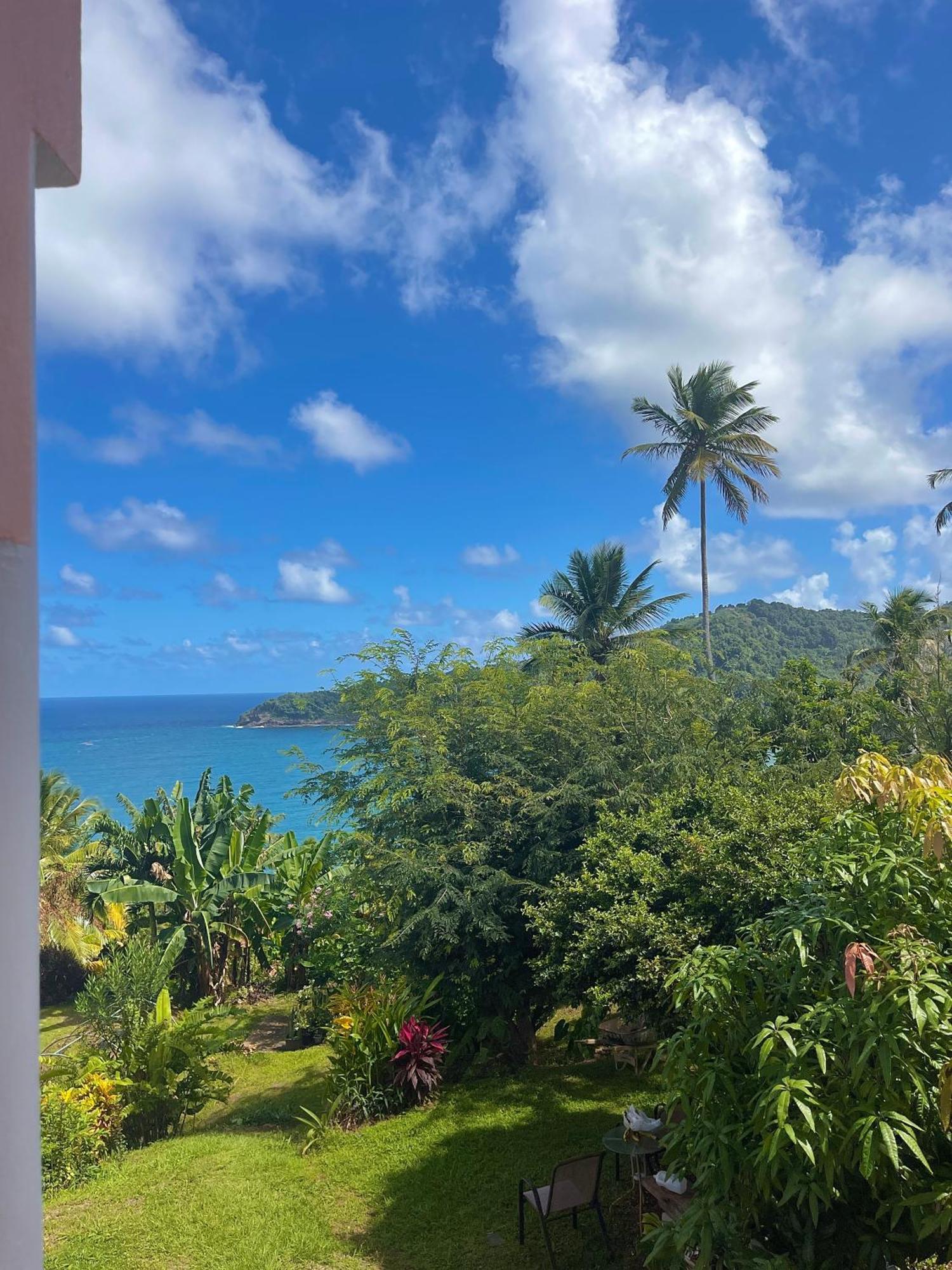 Happy Nest Dominica Hotel Marigot Bagian luar foto