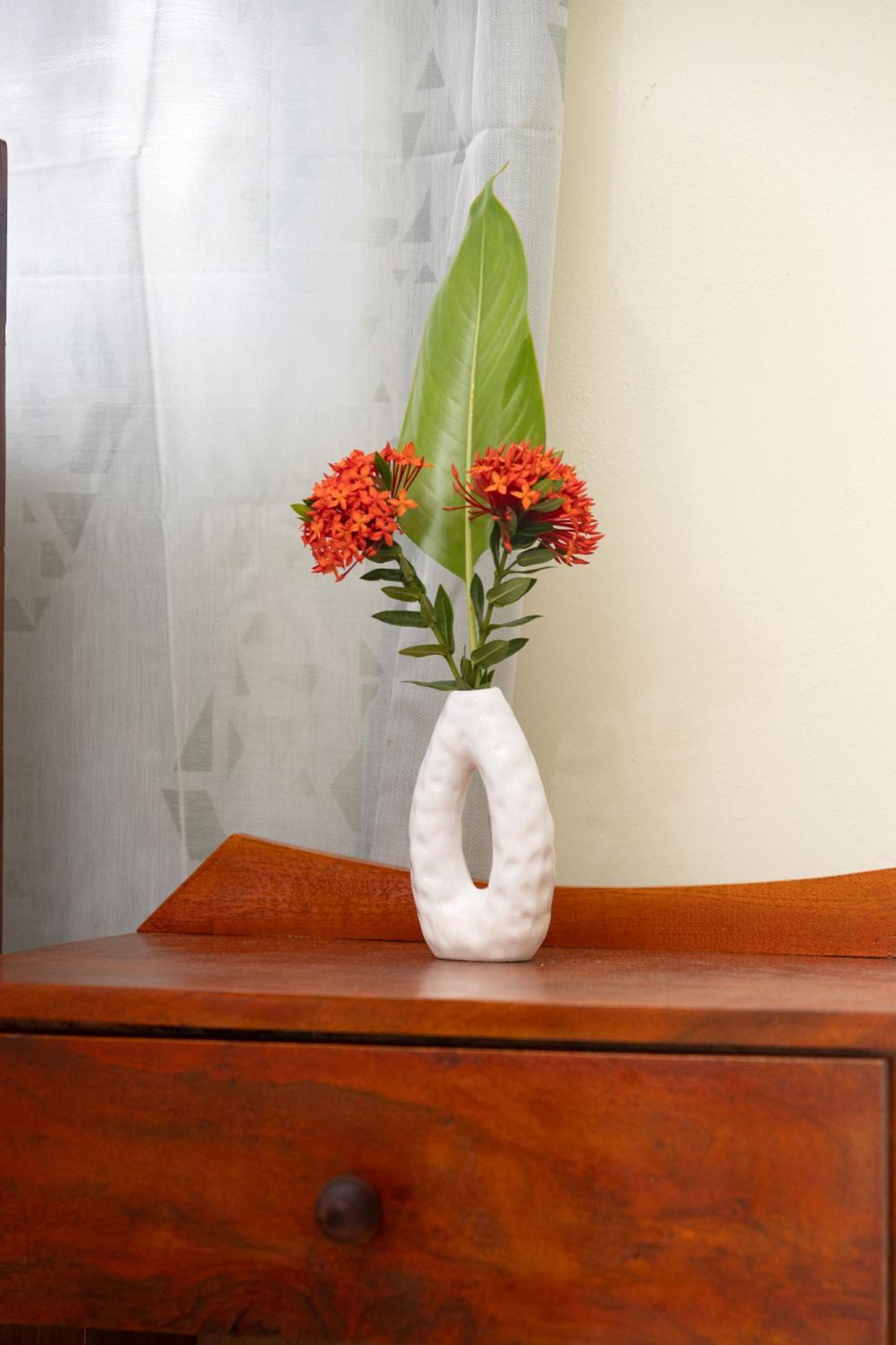 Happy Nest Dominica Hotel Marigot Bagian luar foto
